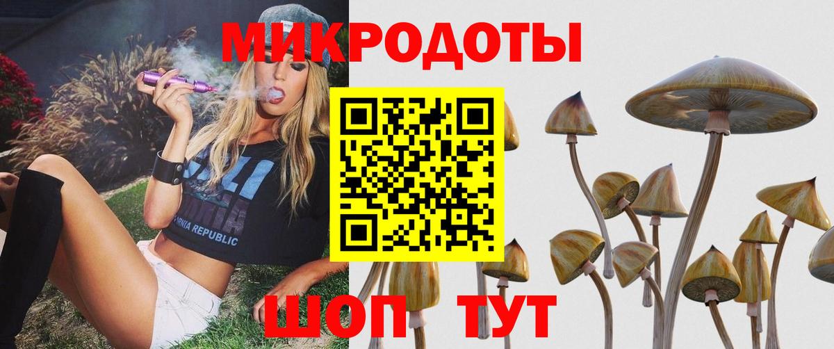 Галлюциногенные грибы прущие грибы  Псилоцибиновые грибы прущие грибы  купить закладку  Зеленокумск  Вход с VPN 